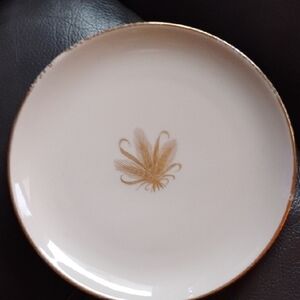 Elegant Gold Rimmed Plate